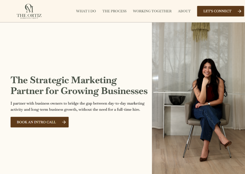 Ortiz Marketing Group — redesigned homepage